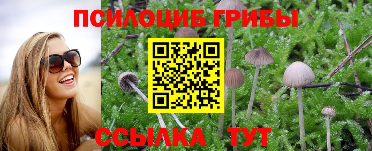 Галлюциногенные грибы мухоморы Урай