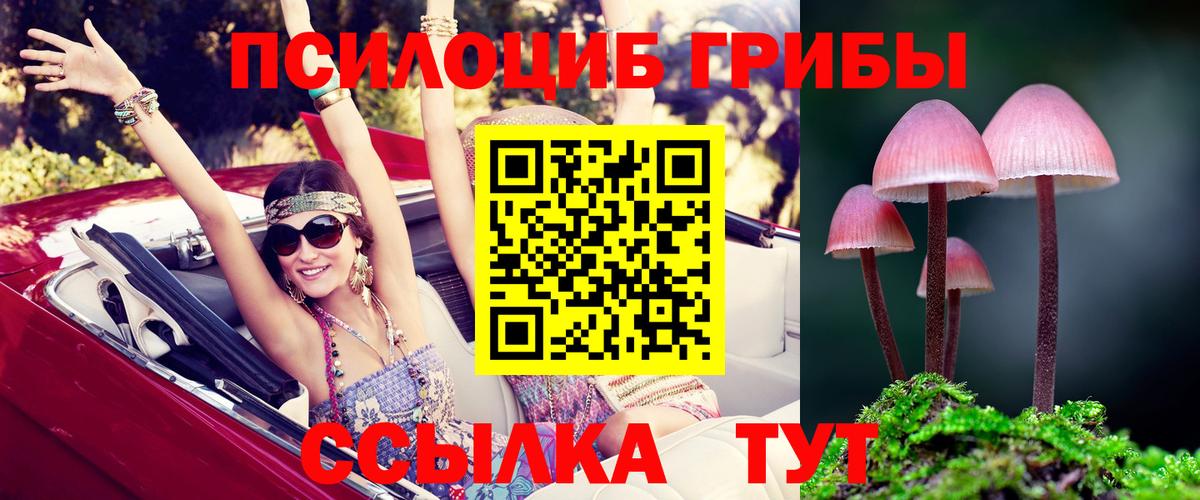 Урай  Псилоцибиновые грибы Magic Shrooms  Вход с VPN  Псилоцибиновые грибы Magic Shrooms 
